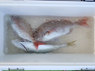 IMG00373.jpg